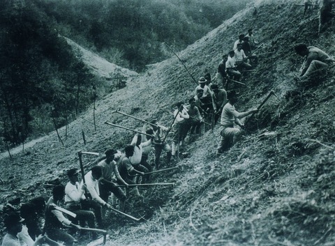 徳島農業　急傾斜実習