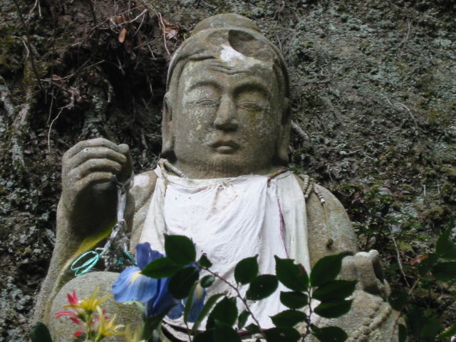 イメージ 7