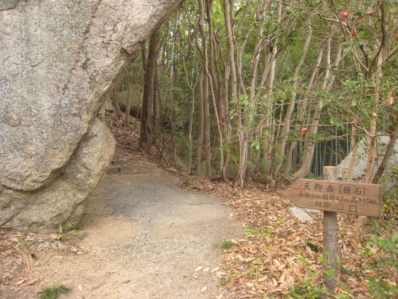 イメージ 18