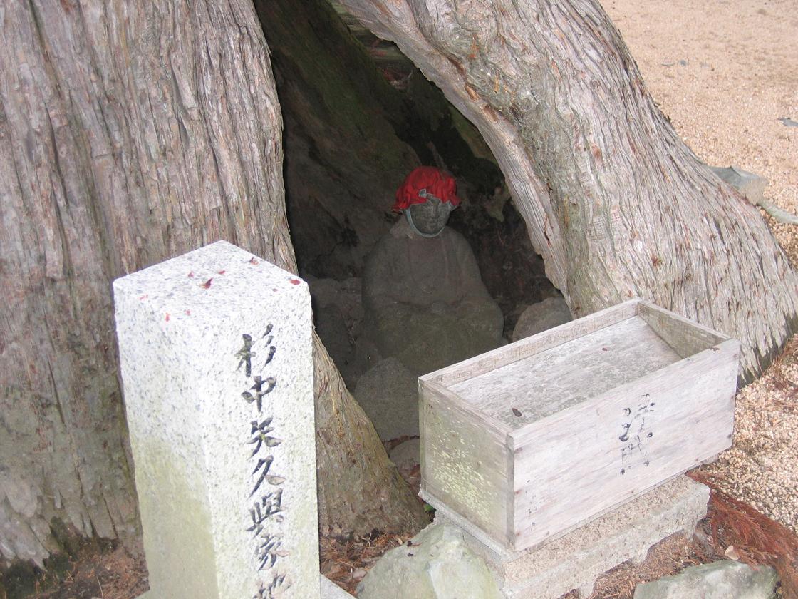 イメージ 5