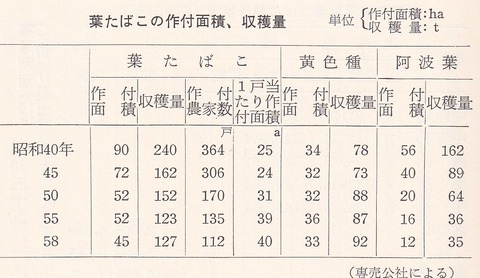 葉煙草耕作面積の推移 美合