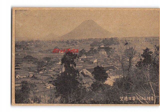 まんのう町ふるさと探訪 江戸時代の丸亀平野の里山は裸山だった まんのう町ふるさと探訪 江戸時代の丸亀平野の里山は裸山だった