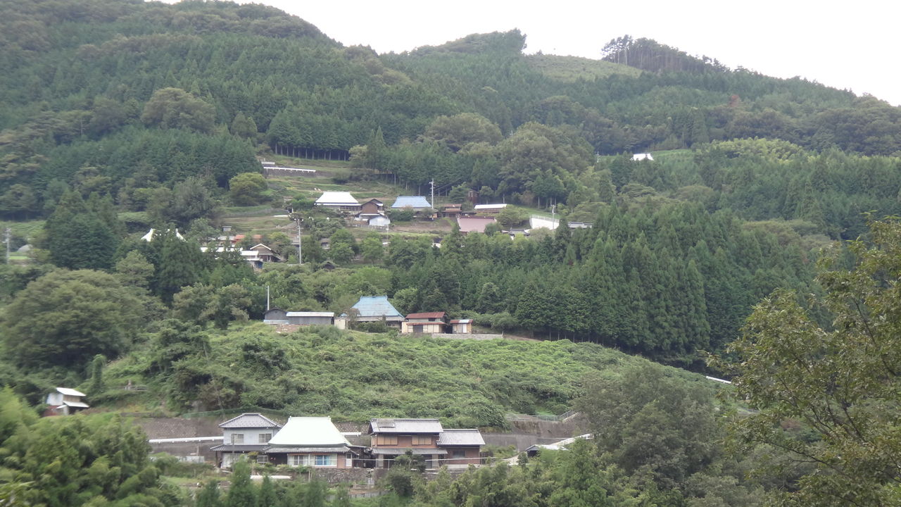 イメージ 6