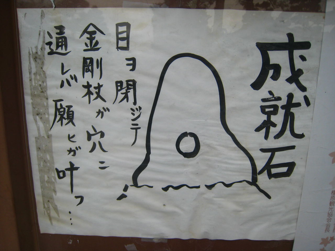 イメージ 6