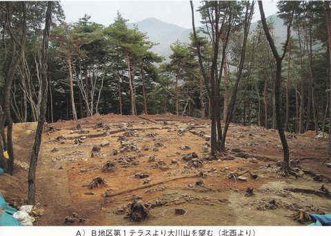 中寺廃寺　Bゾーン割拝殿跡からの大川山