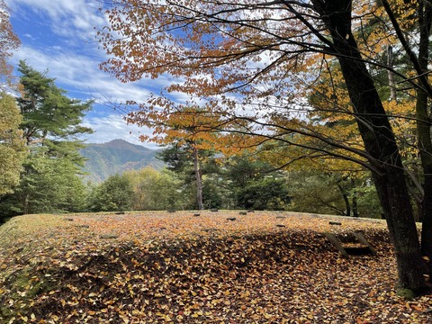 中寺廃寺 Bゾーン2025