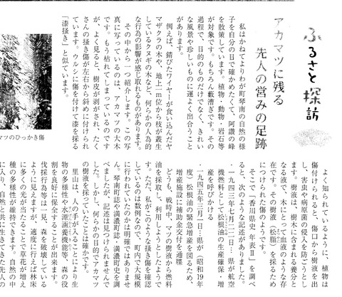 ふるさと探訪原稿　松油採集