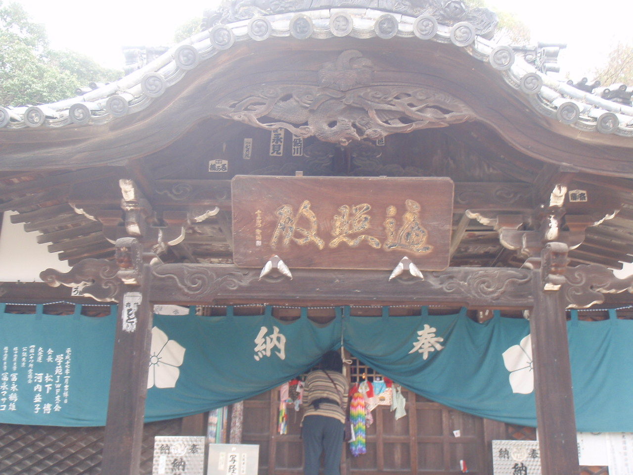 イメージ 6