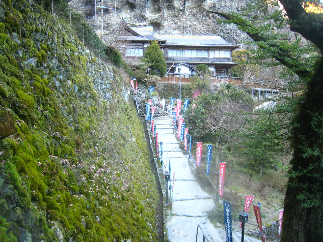 イメージ 1