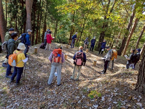 LINE_ALBUM_てくてく散歩_251124_15