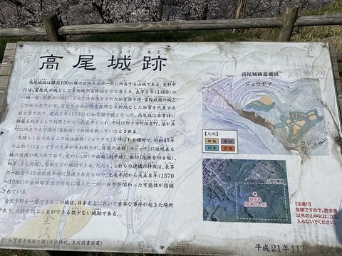 高尾城と金子氏