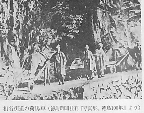 祖谷街道の荷馬車