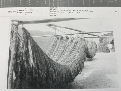 IMG_6883煙草の天日干し