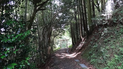 DSC00853福家神社鳥居