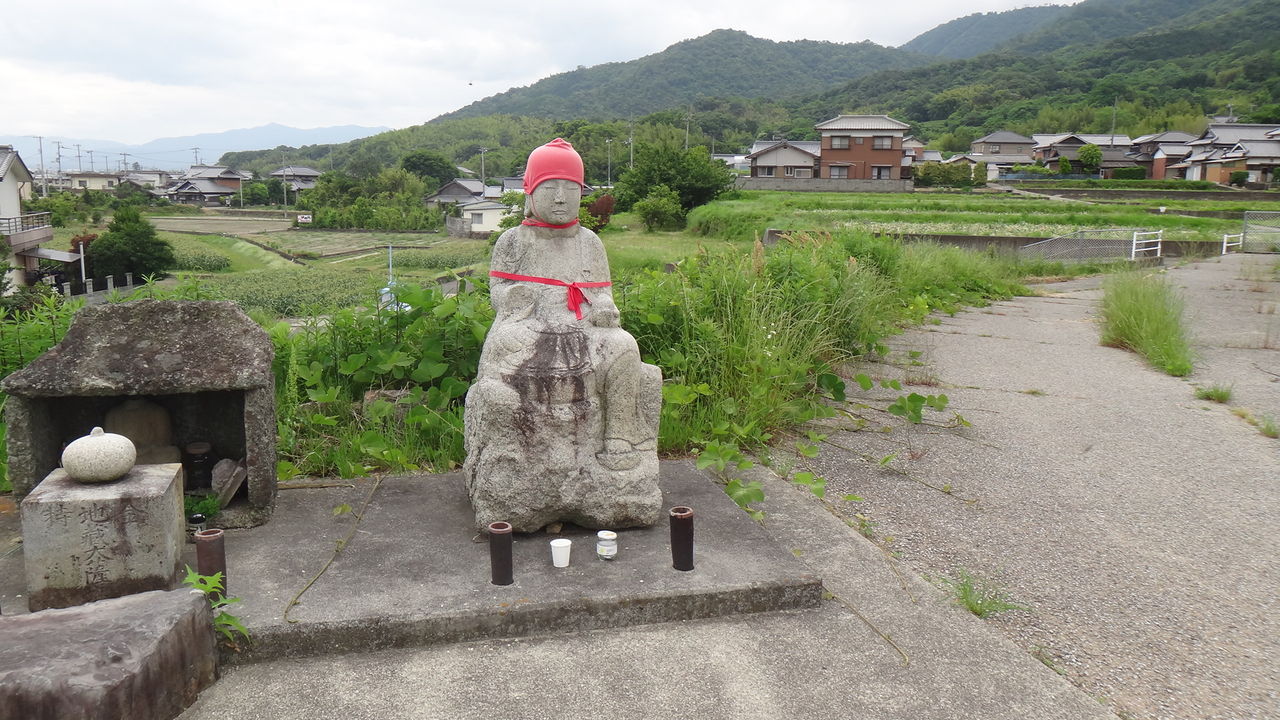 イメージ 7