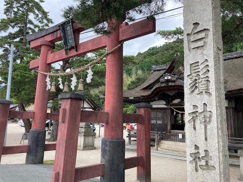 白髪神社　なるこ参り