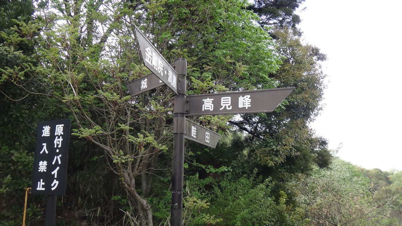イメージ 19