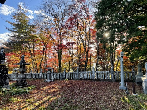 大川神社の紅葉 2025 11 11