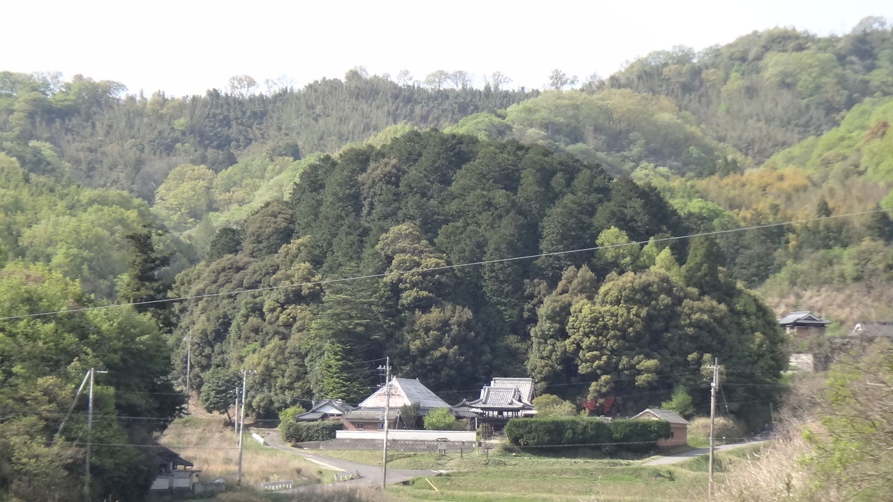 イメージ 7