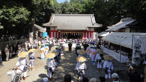 綾子踊り　全景