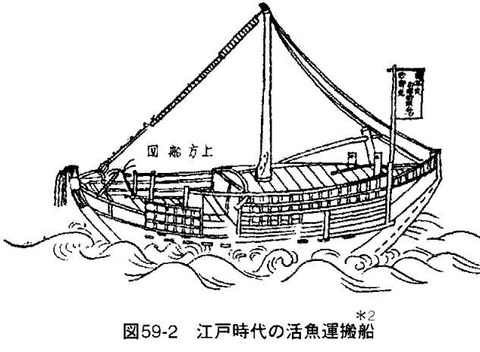 イケフネ(活魚運搬船)