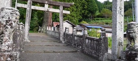山城梅宮神社