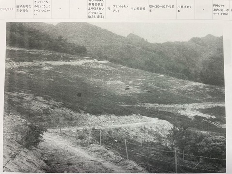 IMG_6880島が峰放牧場