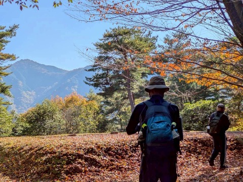 LINE_ALBUM_てくてく散歩_251124_5