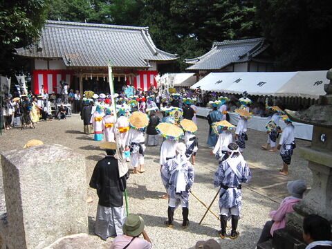 綾子踊り 警固