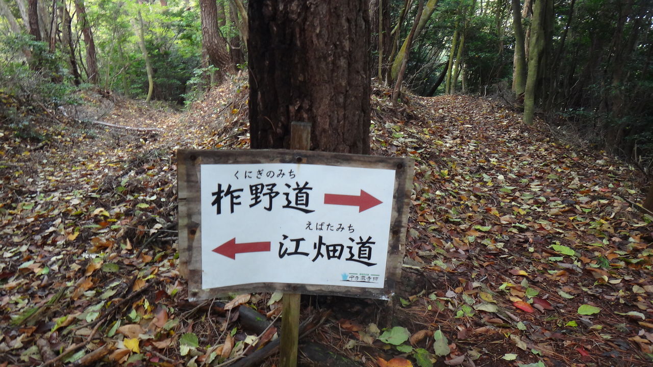 イメージ 6