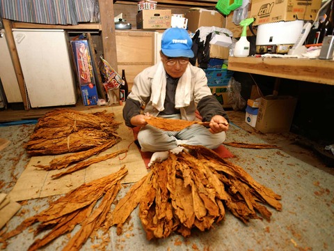 たばこ 調理工程 品質分類