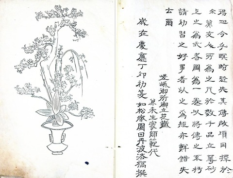 如松斎丹波法橋　花伝絵図１