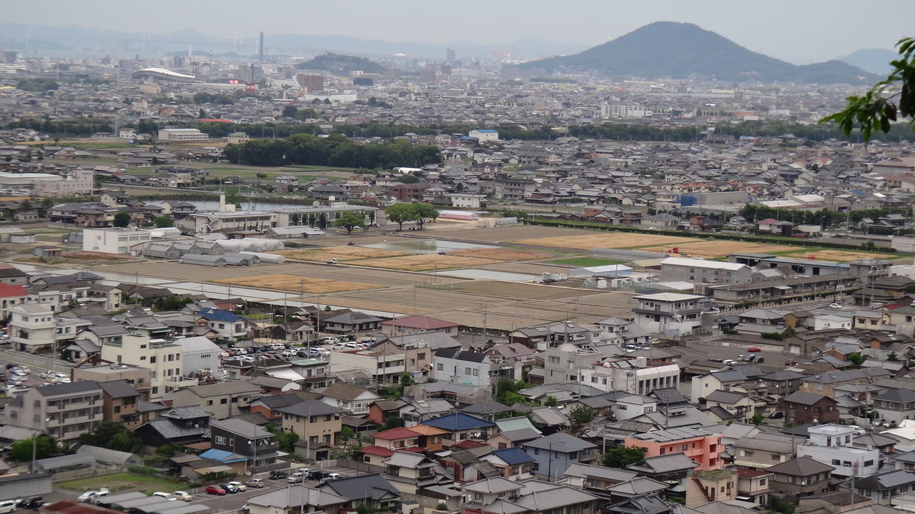 イメージ 2