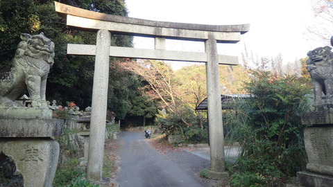 1 金毘羅 牛屋口狛犬1