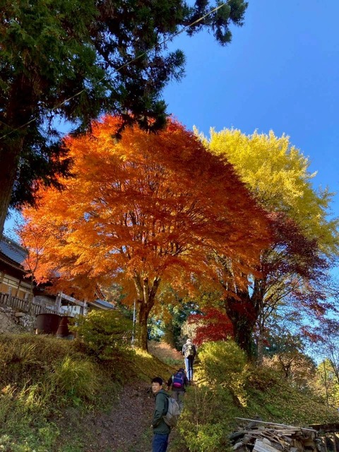 LINE_ALBUM_てくてく散歩_251124_60