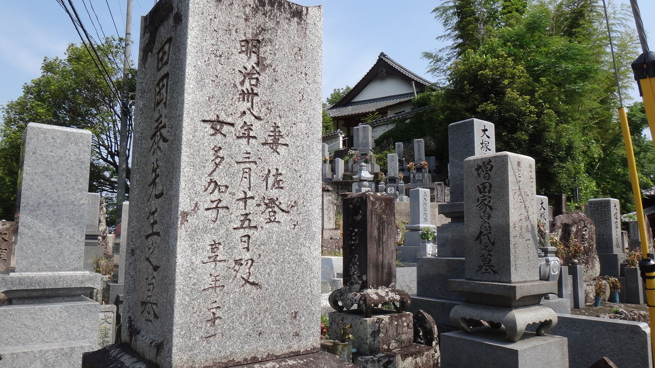 イメージ 3