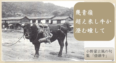 借耕牛　岩部