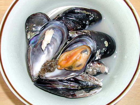 清少納言 イガイ