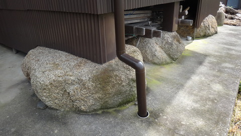 DSC00923