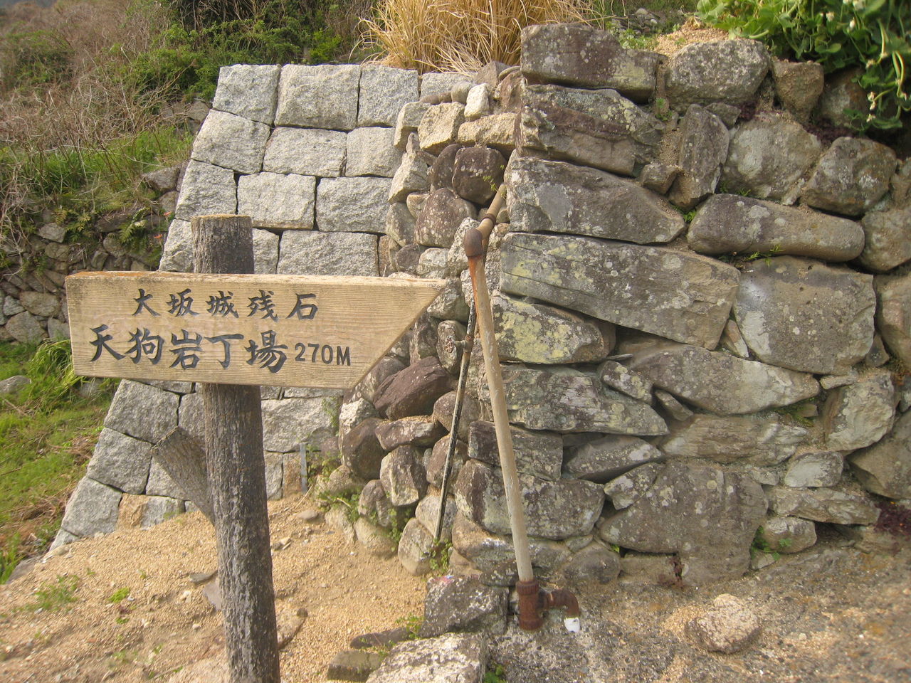 イメージ 12