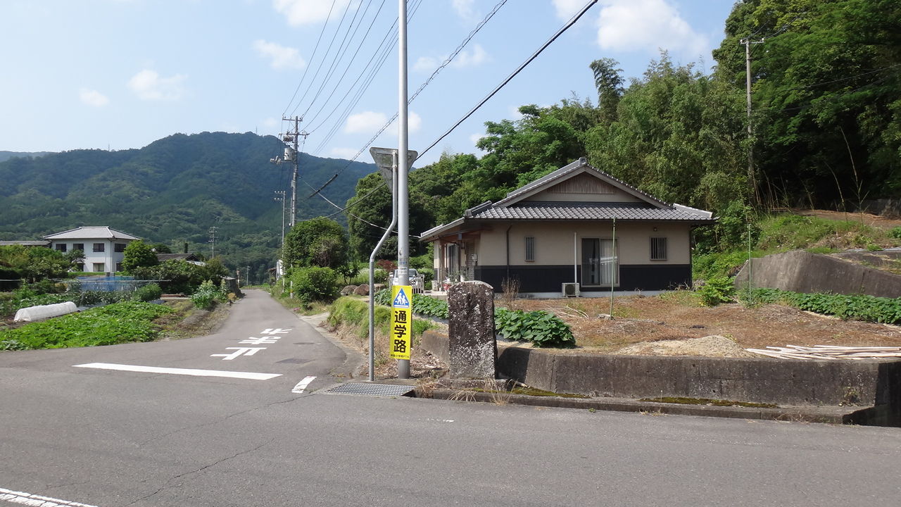 イメージ 3