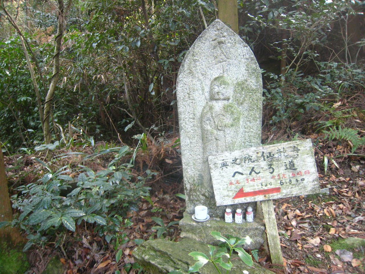 イメージ 6