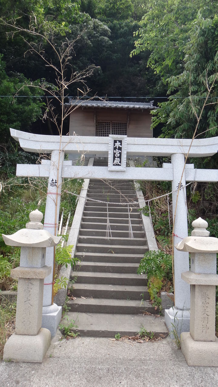 イメージ 7