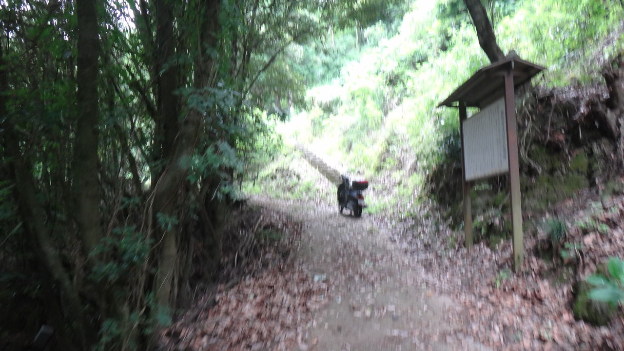 イメージ 4