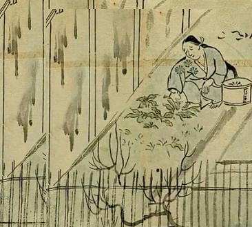 信貴山縁起絵巻「尼公ノ巻」　菜を摘む女