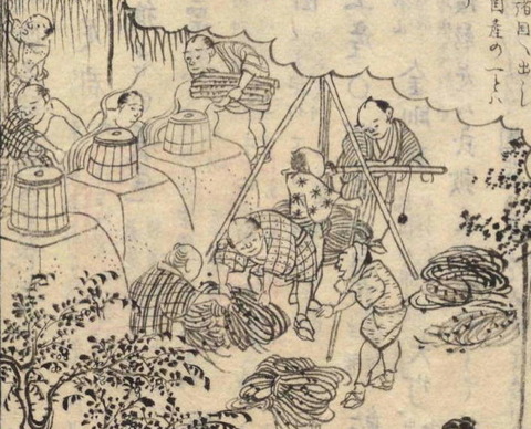勝浦の葛布釜ゆで 讃岐国名勝図会