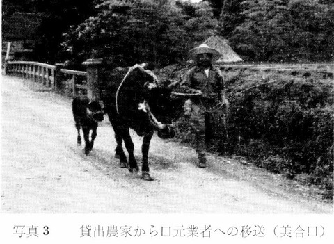 借耕牛　美合口