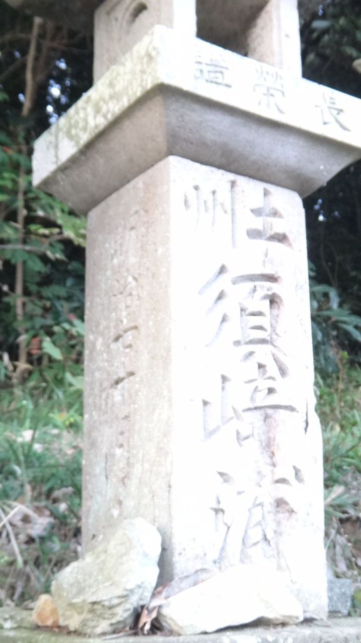 イメージ 8