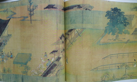 大山祇神社２　巨樹