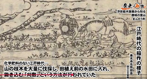 刈敷４　善光寺名所図会